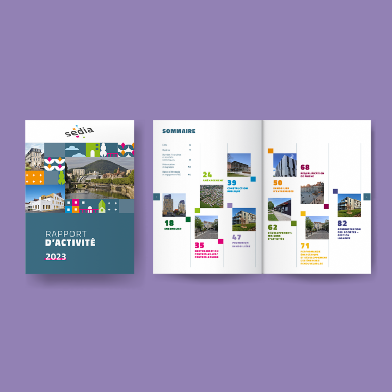 Rapport annuel sedia 2023 couv