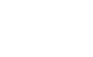 Logocarrousel_SUPMICROTECH ST BLANC fond transparent