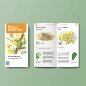 Brochure reptiles amphibiens LPO BFC