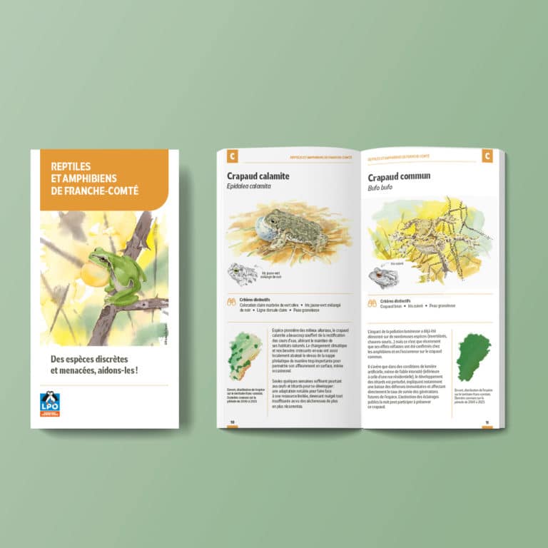 Brochure reptiles amphibiens LPO BFC