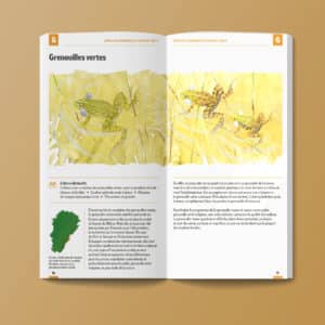 Brochure reptiles amphibiens LPO BFC intérieur