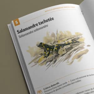 Brochure reptiles amphibiens LPO BFC détail