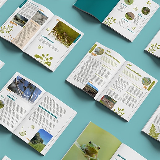 Livret guide en action LPO pages