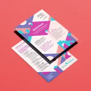 Ginko flyer JPO 26